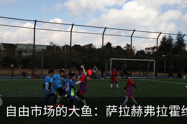 自由市场的大鱼：萨拉赫弗拉霍维奇在列 桑乔或再回多特